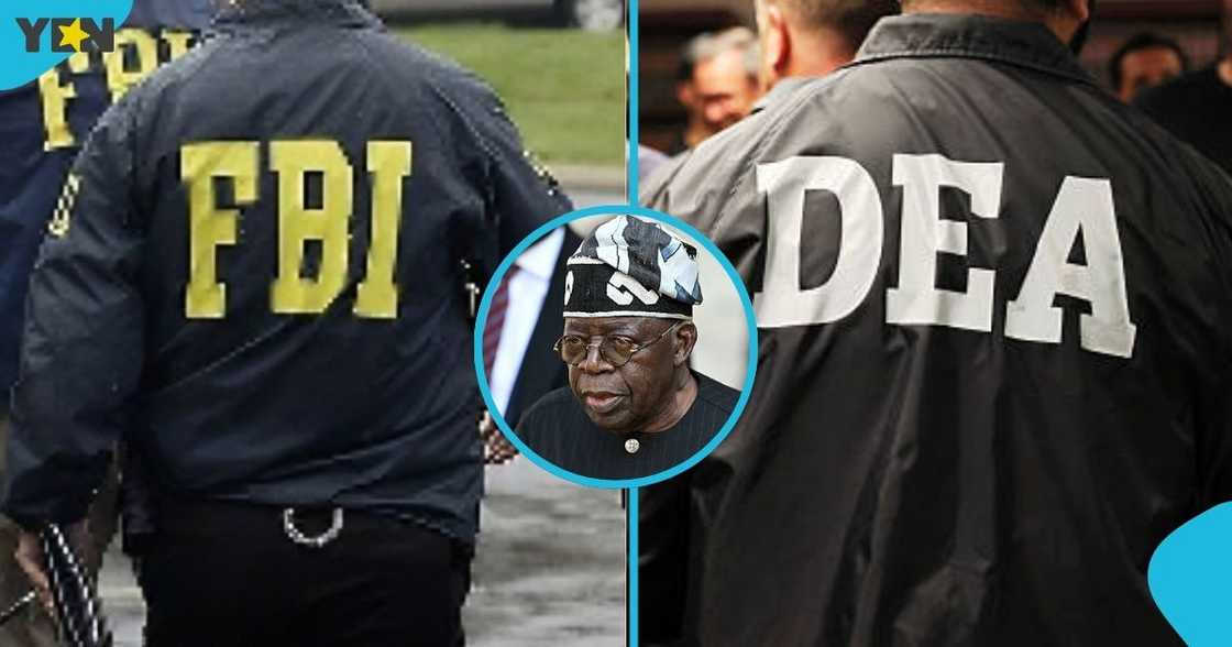 Tinubu Sought to Intervene in U.S. FOIA Case Over Records, Court Documents Show