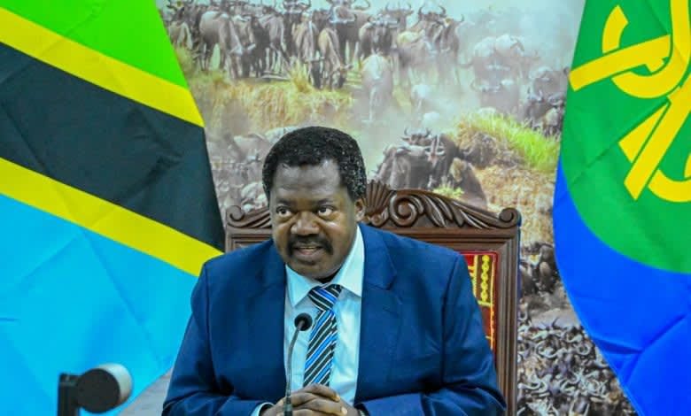 Tanzania Vice President Nchimbi Resigns, Set to Quit Politics and Public Service