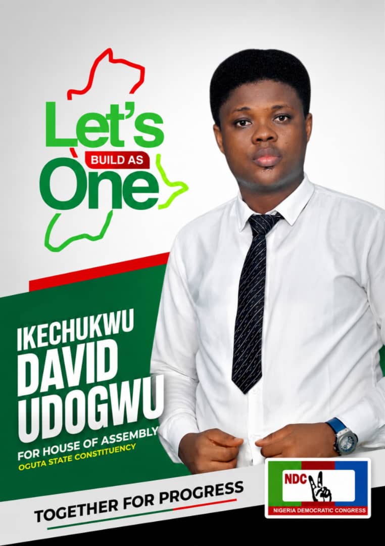 INEC Lists Udogwu as NDC Oguta Assembly Candidate, He Seeks Unity Ahead of 2027