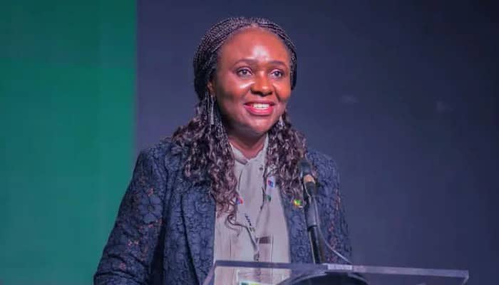FG LAUNCHES 2026 OIL LICENSING ROUND, PUTS 40 BLOCKS UP FOR BIDDING